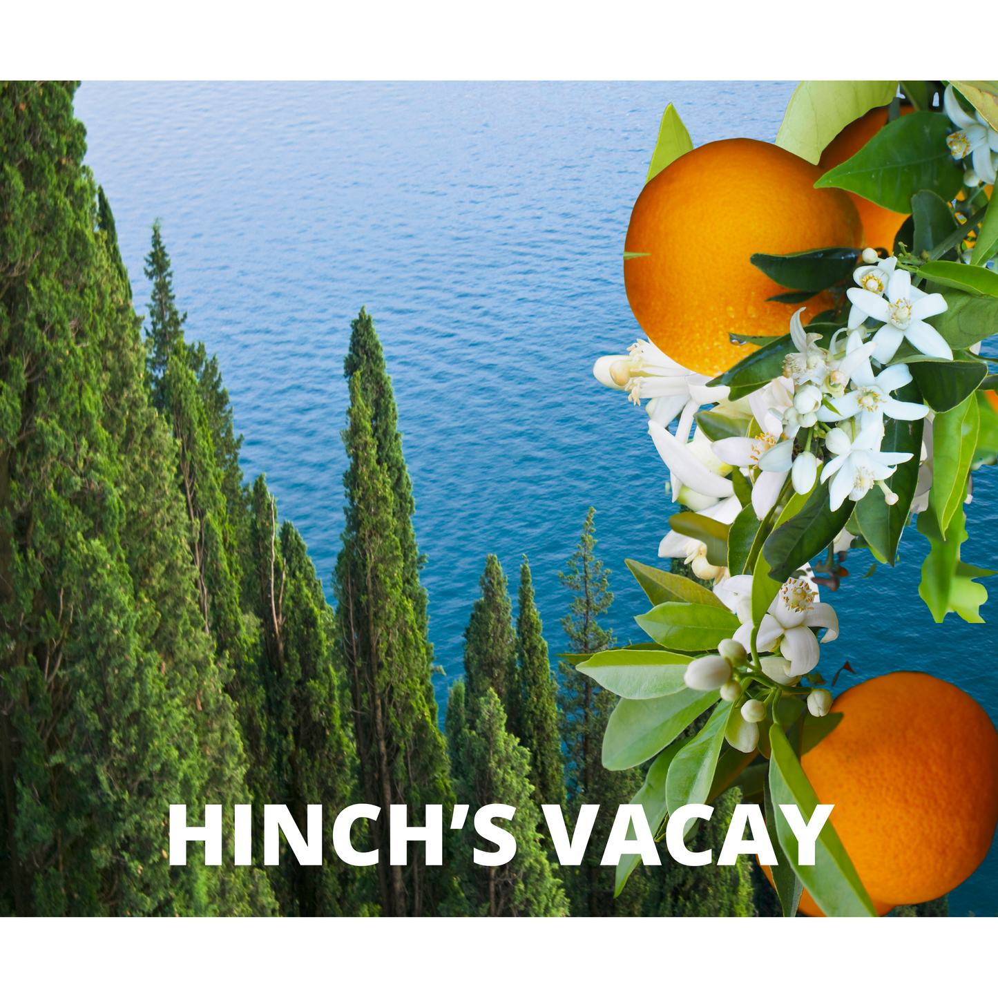 Hinch's Vacay Mist Diffuser Oil