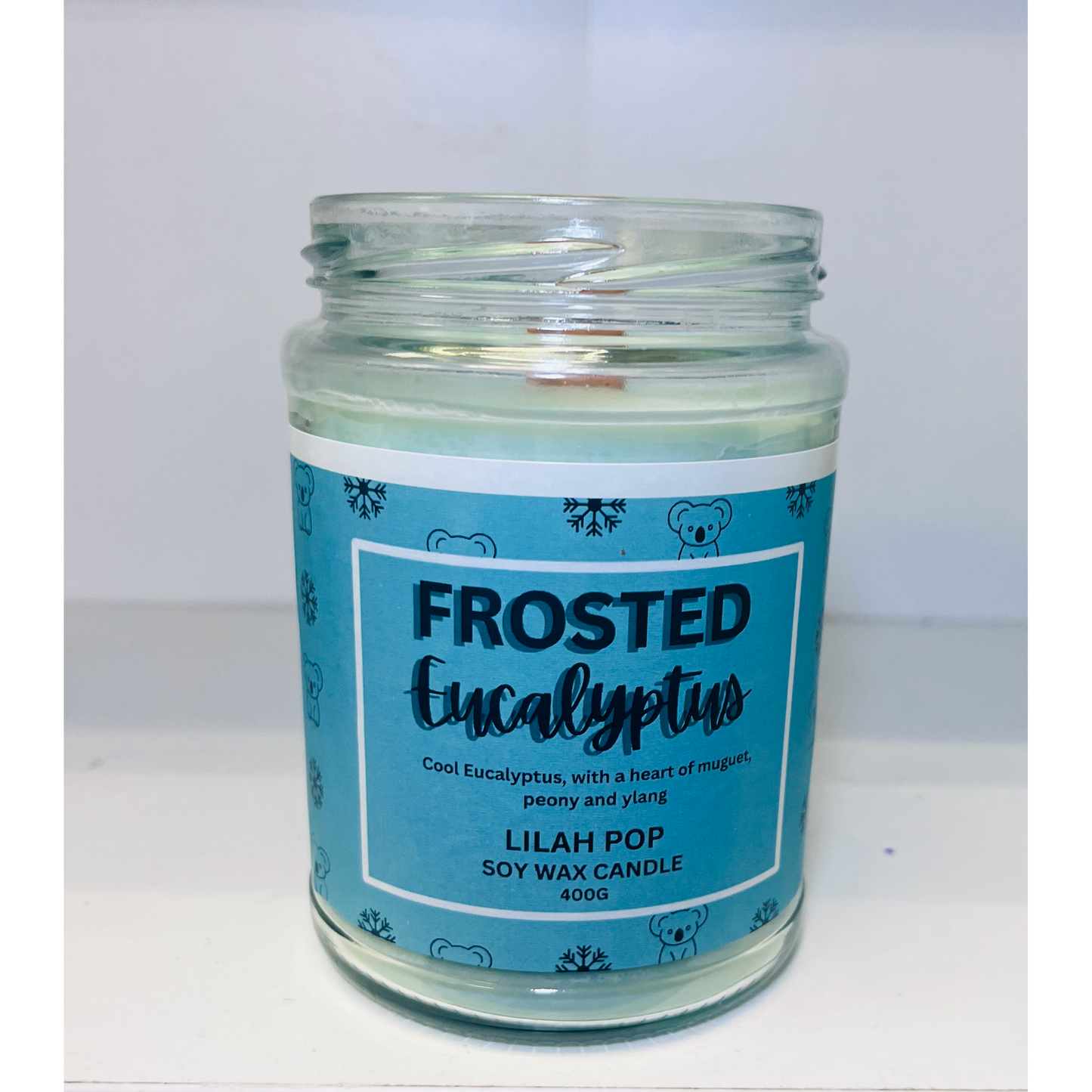 400g Frosted Eucalyptus Soy Wax Candle