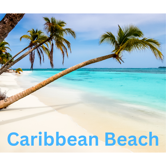 Caribbean Beach Snap Bar