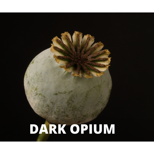 Dark Opium Snap Bar