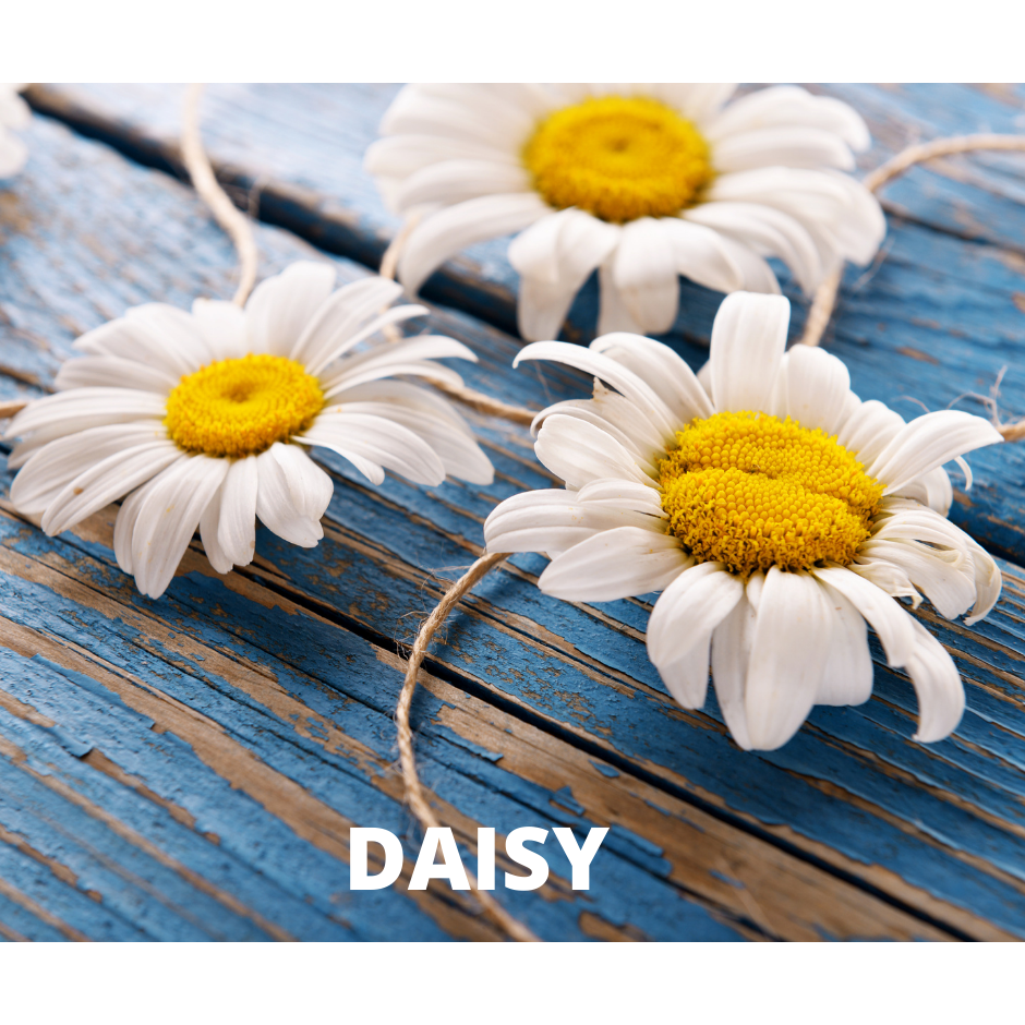 Daisy Chain Snap Bar