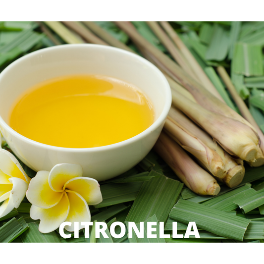 Citronella Snap Bar