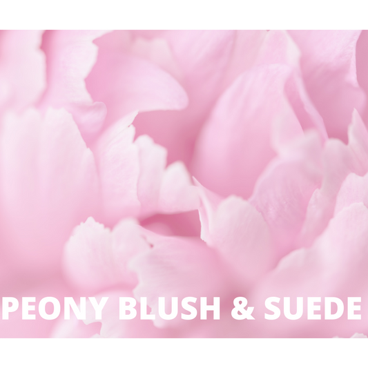 Peony & Blush Suede Snap Bar